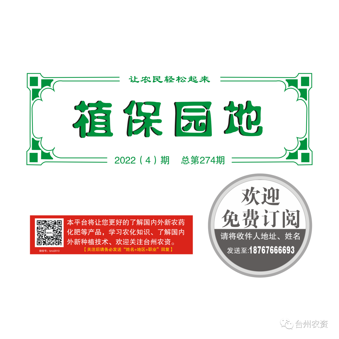 氣溫驟降，大棚西瓜做好以下幾點工作