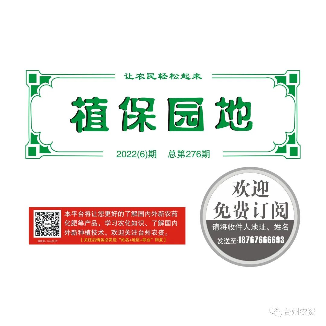 梅雨季節(jié)來臨，柑橘即將穩(wěn)果，注意管理好夏梢，合理施肥打藥