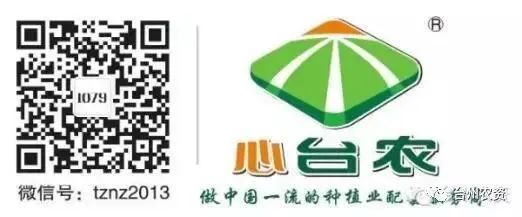 果實接近成熟，警惕柑橘表面各種油胞病
